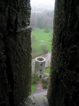24844 View from Blarney Castle Lookout tower.jpg